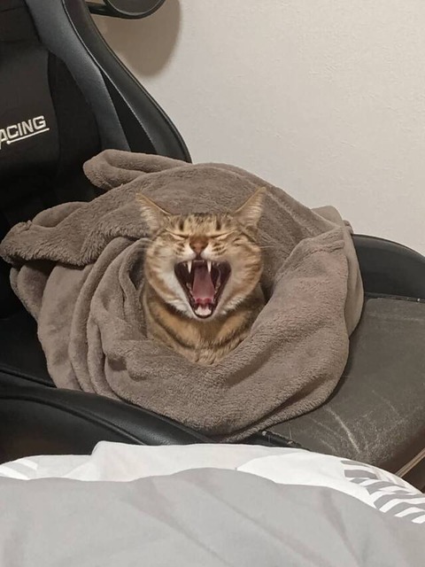 no title