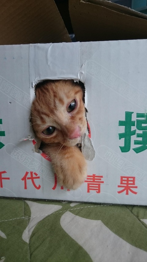 no title
