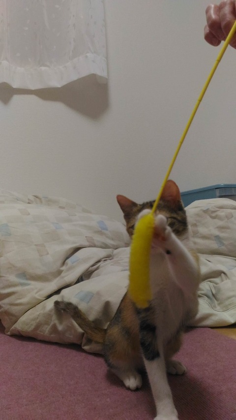 no title
