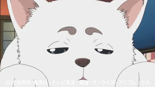 銀魂 杉田が好きすぎた アニメ銀魂 銀魂 杉田が好きすぎた アニメ銀魂