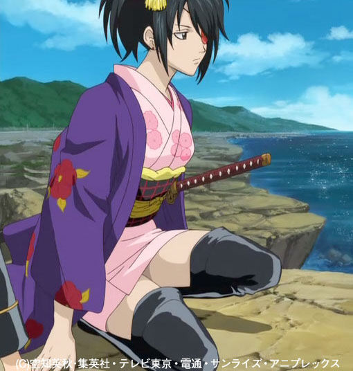 動画gif的 銀魂 第1話 神楽 九兵衛 ヅラ子 どの美女がお好き 銀魂 杉田が好きすぎた