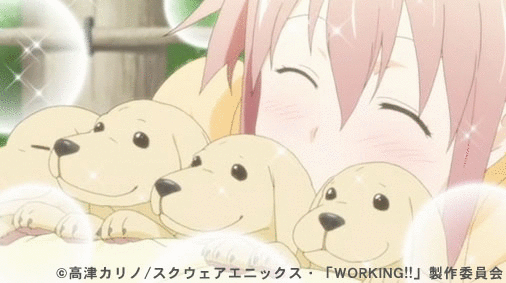 とうとう最終回 Working 第13話 松本さん喋った 神谷浩史 小野大輔のdear Girl Stores とうとう最終回 Working 第13話 松本さん喋った 神谷浩史 小野大輔のdear Girl Stores