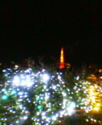041116_2355~01.jpg