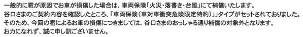 丁重なご返答