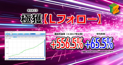 ロスカット地獄から抜け出す！迷える個人トレーダーに「極獲【Lフォロー】」が示す論理的システムトレードの答え