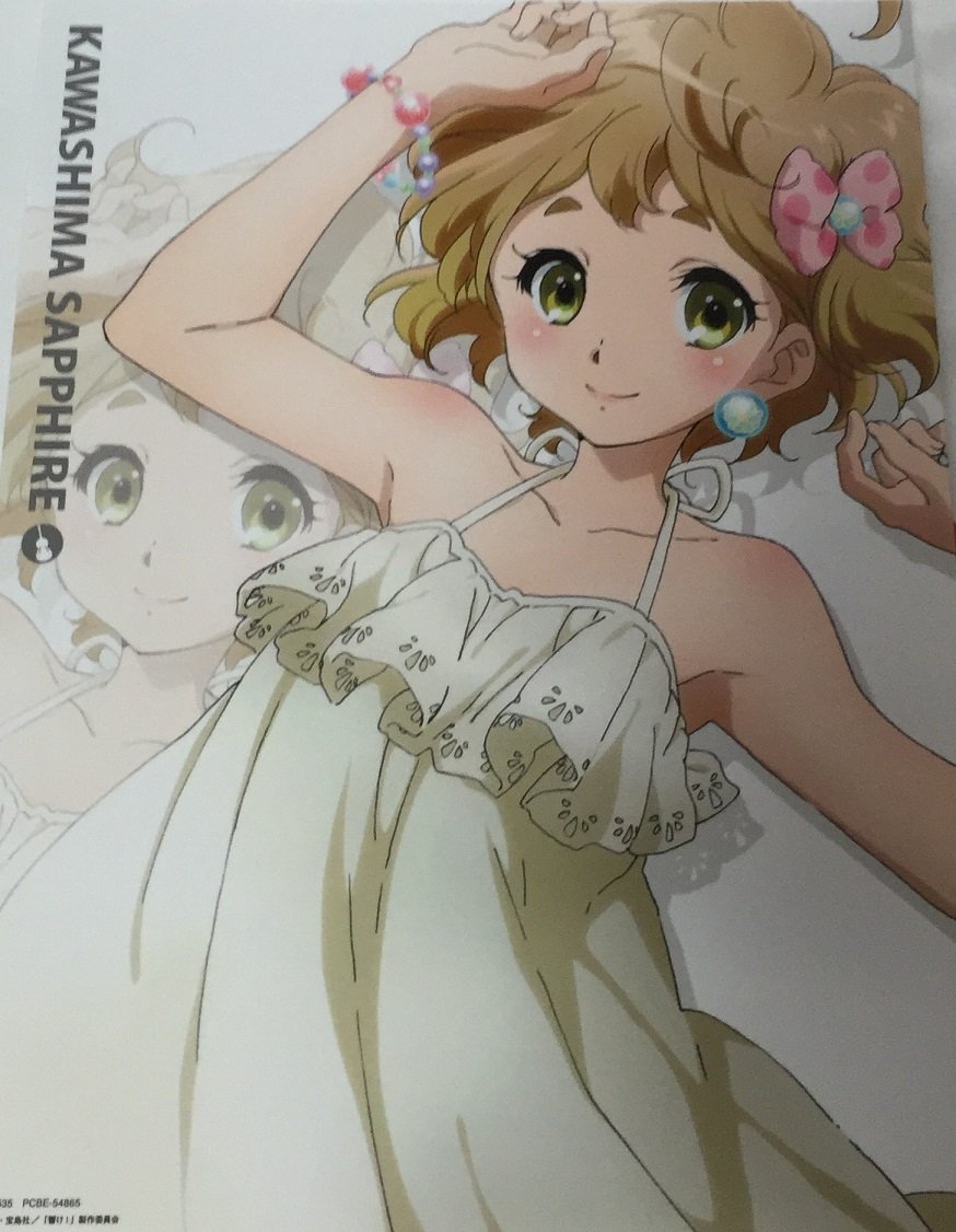 チューバ吹きの目線で書く 響け ユーフォニアム bd第5巻 レビュー 片岡聲之助のdeblog チューバ吹きの目線で書く 響け ユーフォニアム bd第5巻 レビュー 片岡聲之助のdeblog