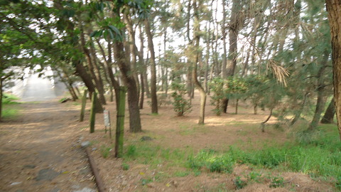 DSC03853
