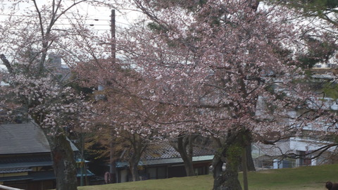 DSC04035