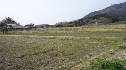 DSC03908