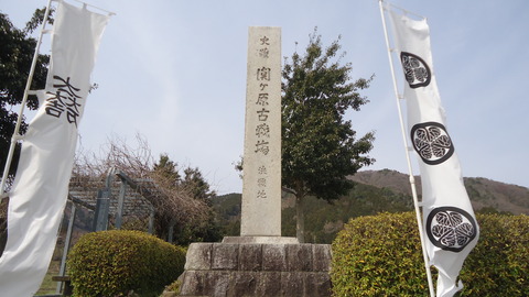 DSC03911