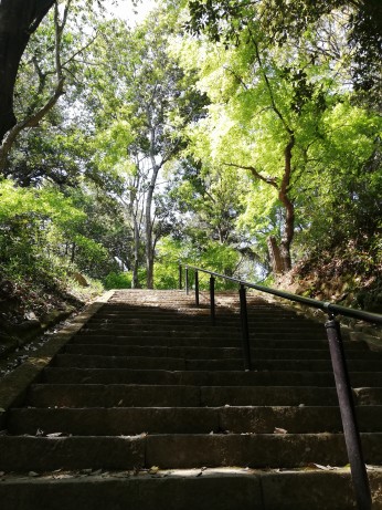 亀山公園1