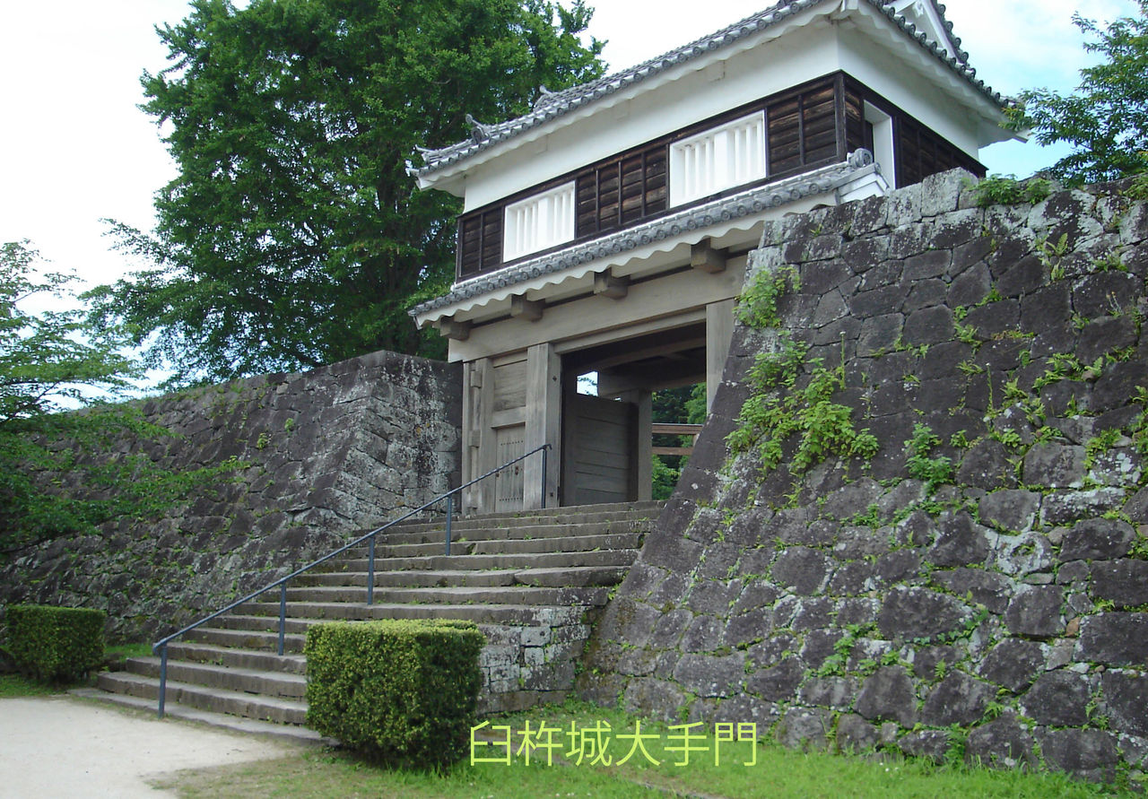 イメージ 1
