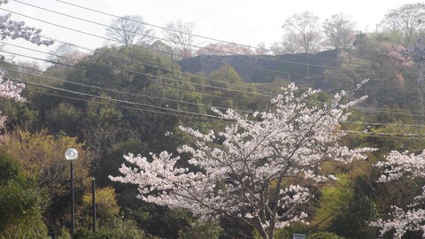 岡城c2