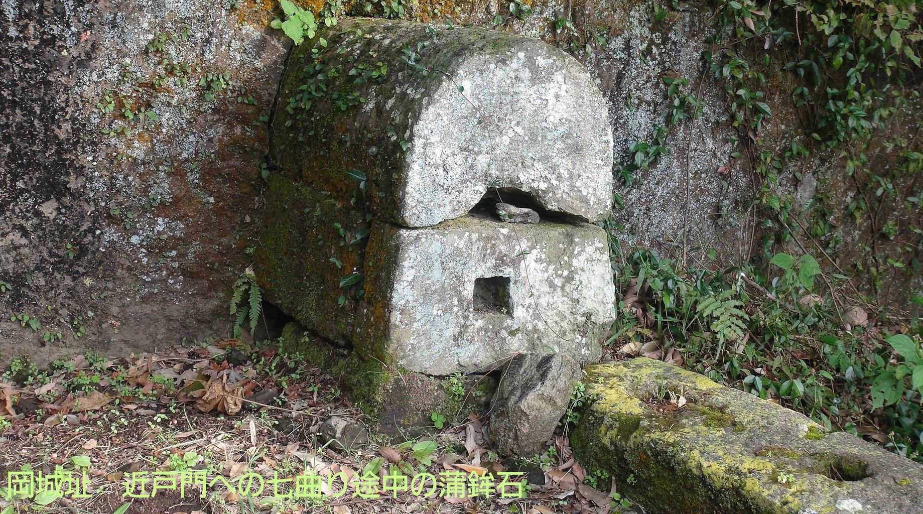 イメージ 1