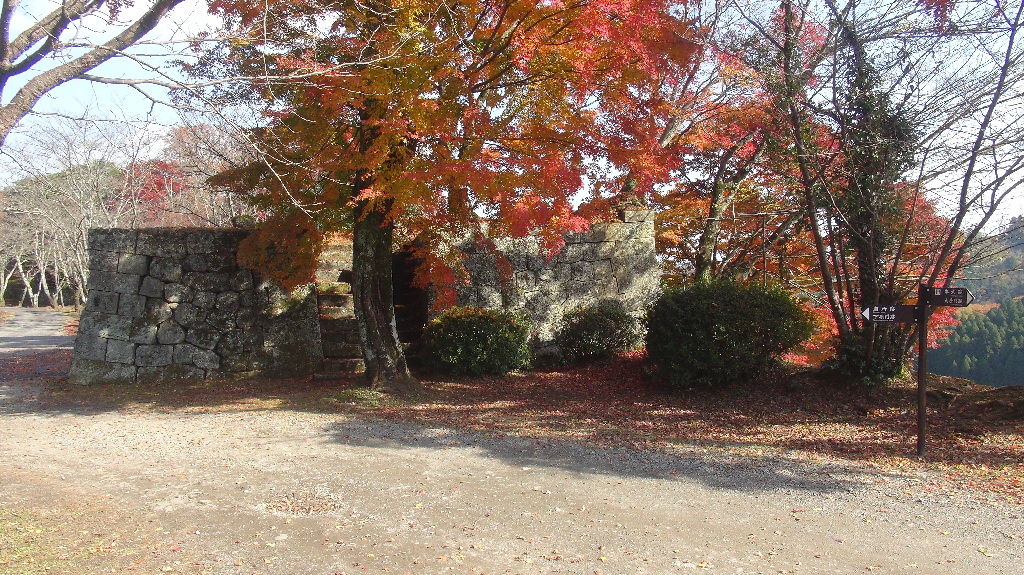イメージ 1