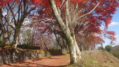 岡城址25