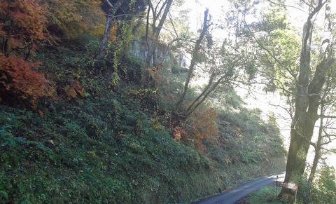 岡城址１９年秋17