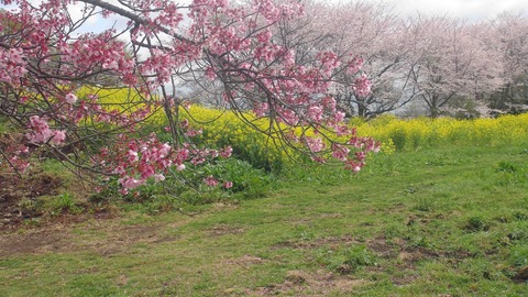 岡城ｃ69