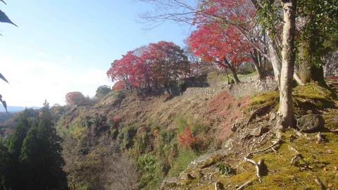 岡城址１９年秋50