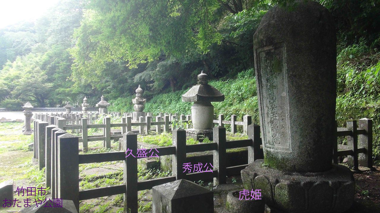 イメージ 1
