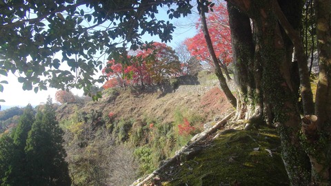 岡城址１９年秋49