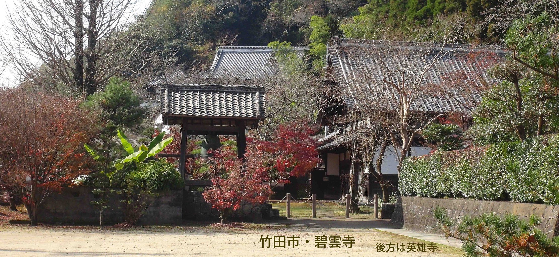イメージ 1