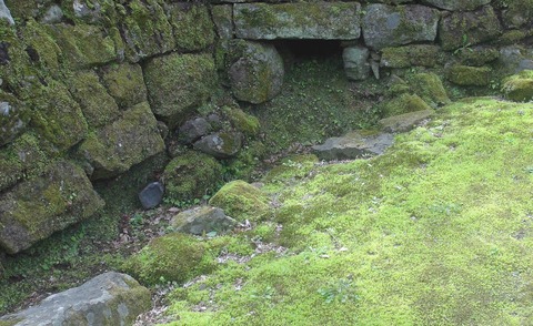 DS岡城3