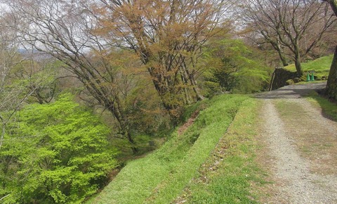 DS岡城4