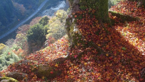 岡城址31