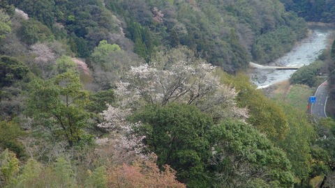 岡城ｃ35