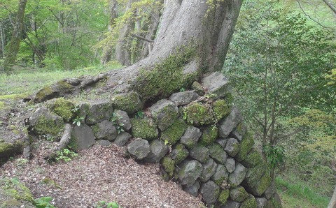 DS岡城1
