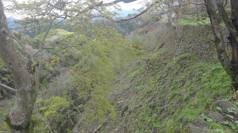 岡城3