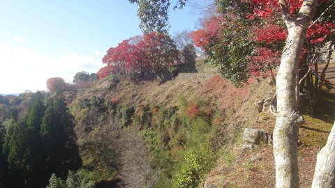 岡城址１９年秋48