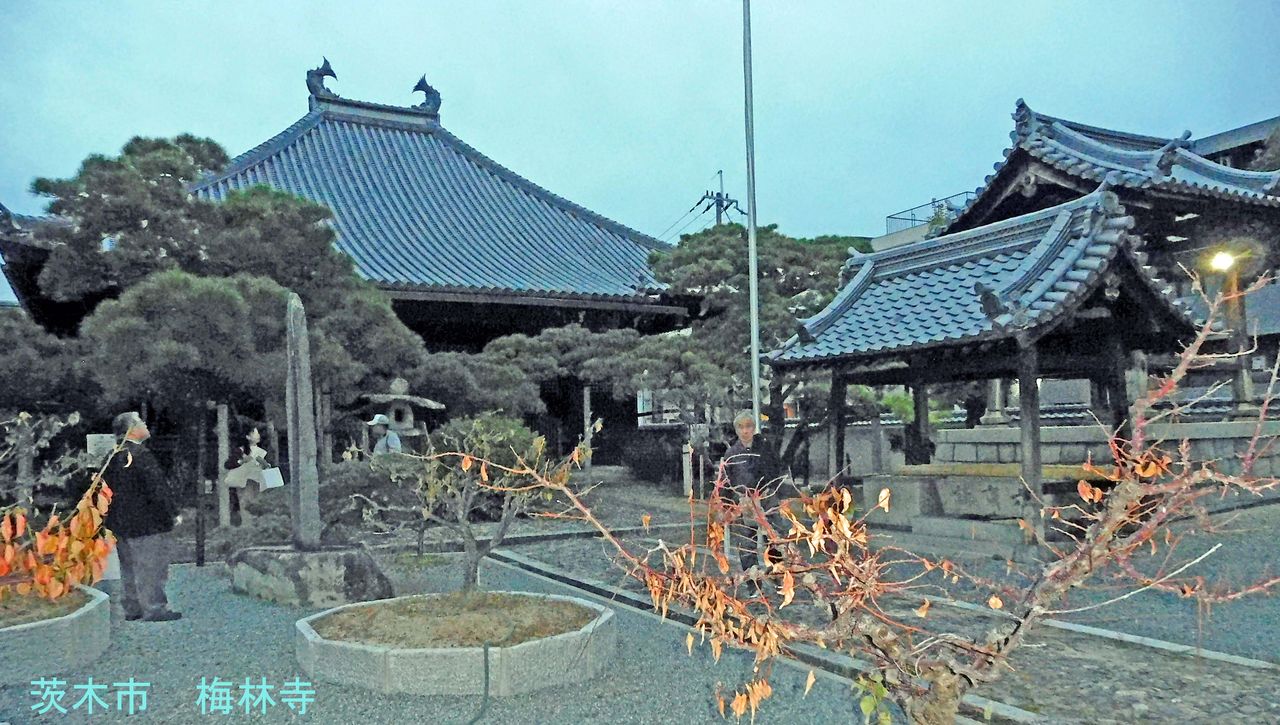 イメージ 1