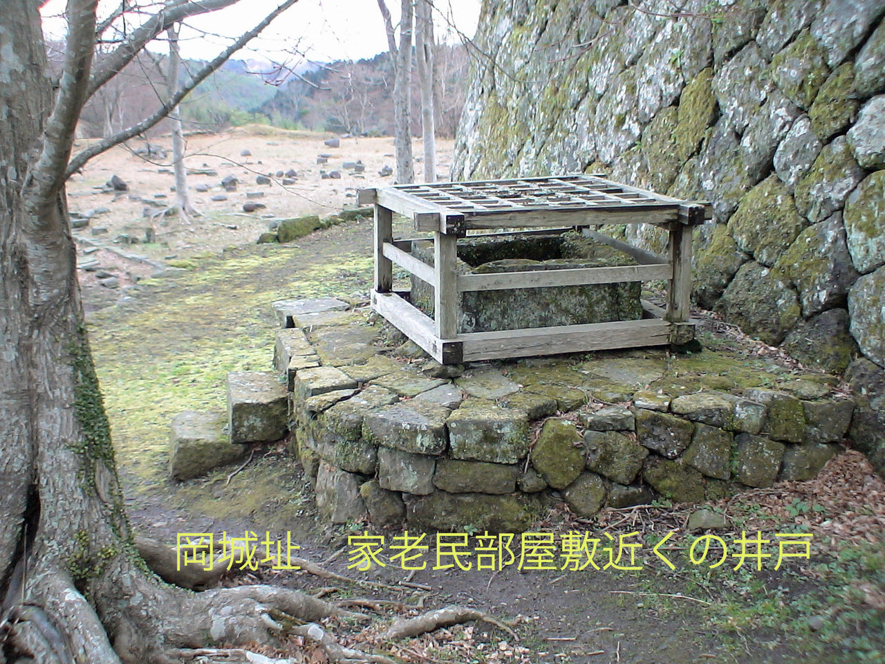 イメージ 1