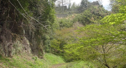 DSC11