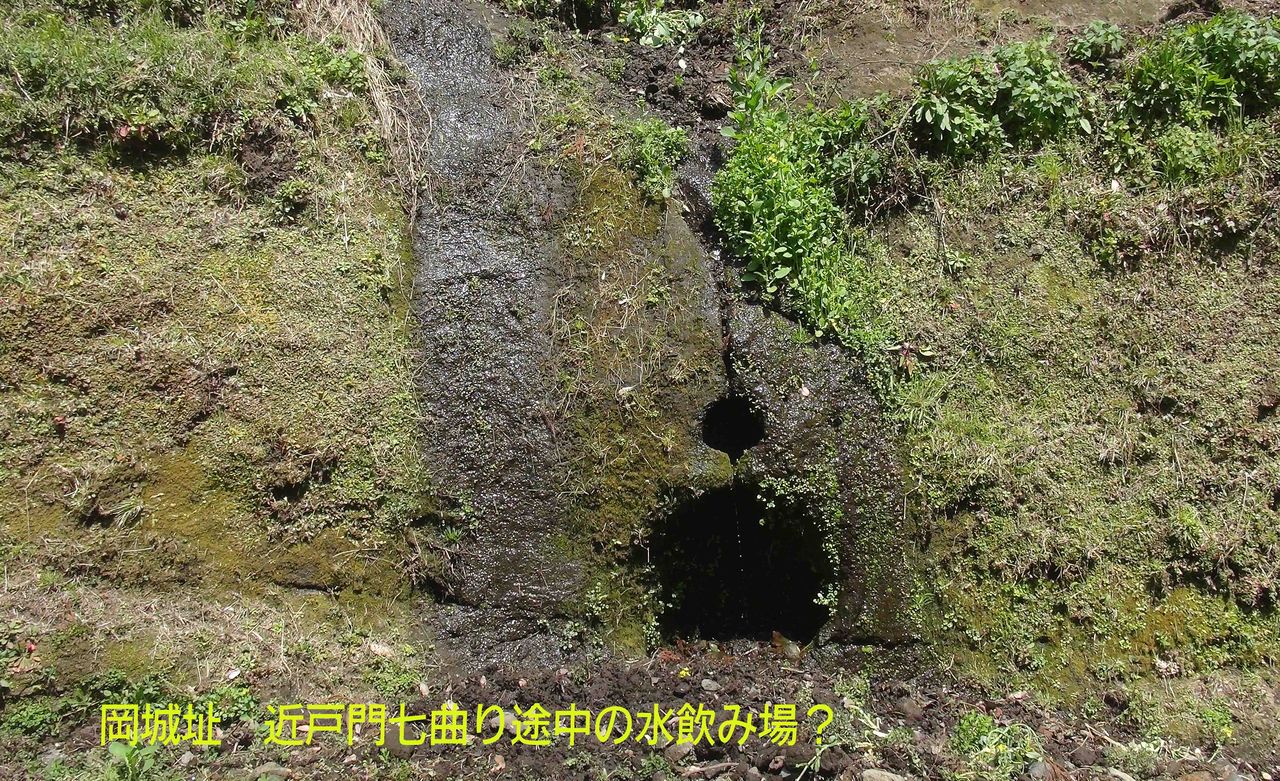イメージ 1