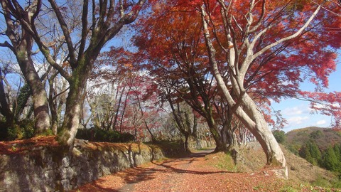 岡城址24