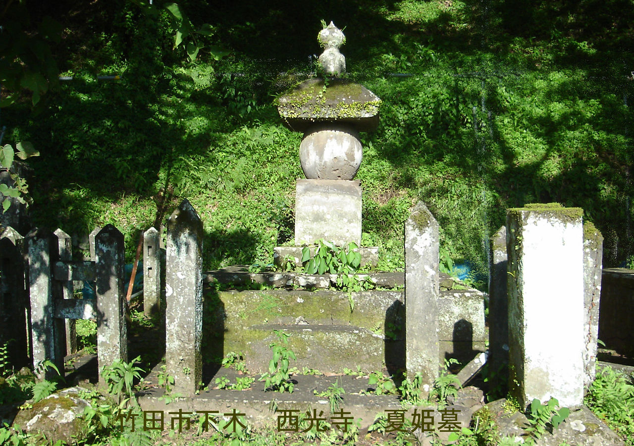 イメージ 1
