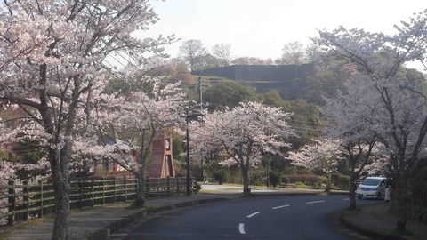 岡城c1