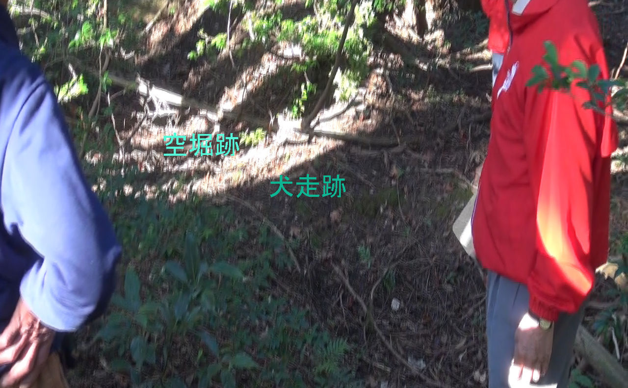 イメージ 1
