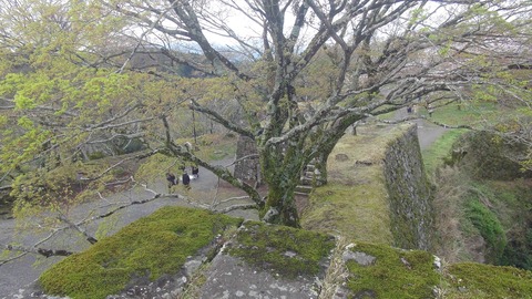 岡城22