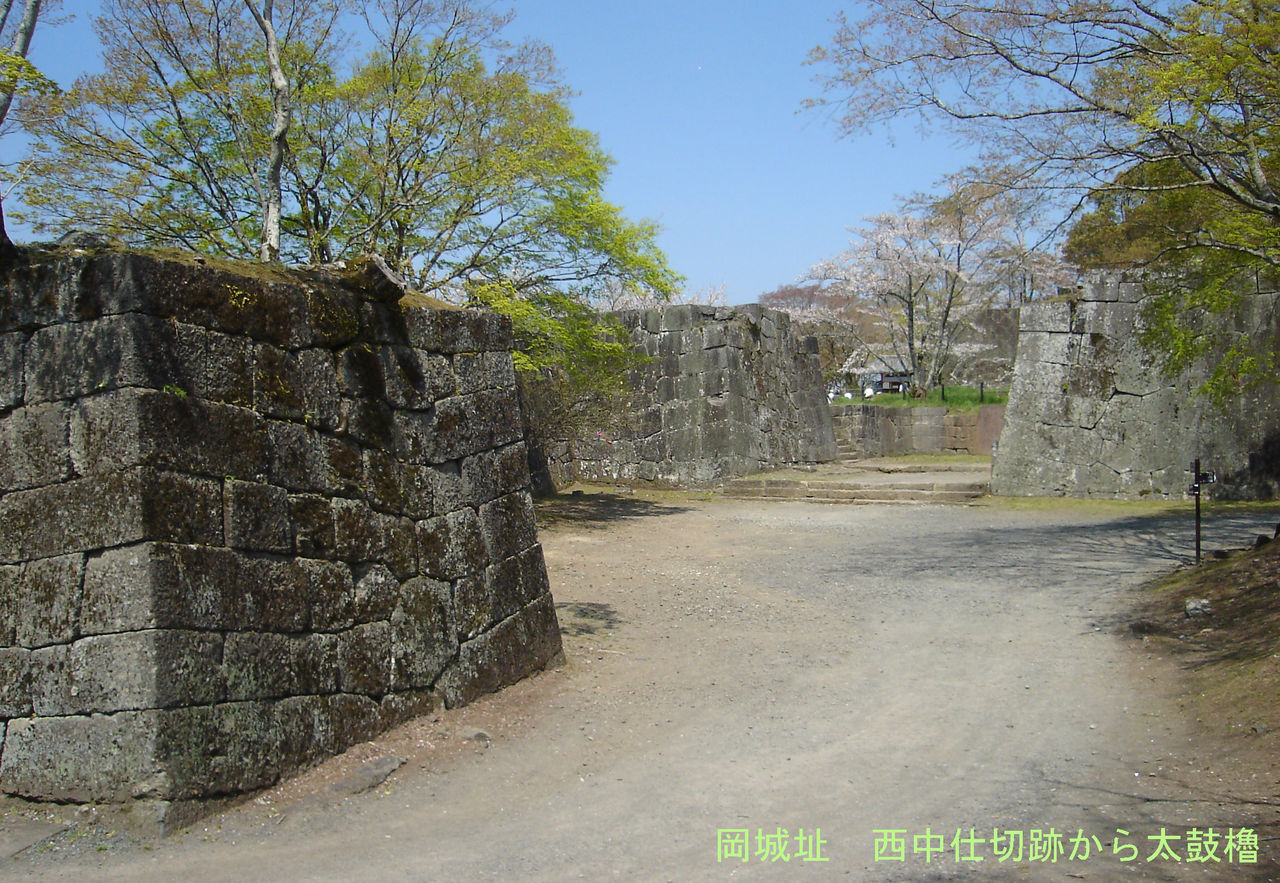 イメージ 1