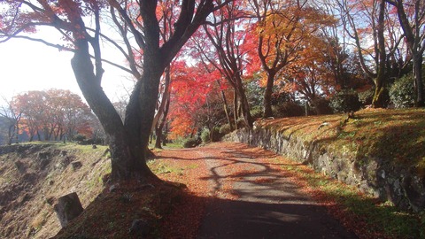 岡城址23