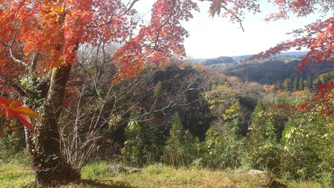 岡城址28