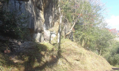 岡城址19年秋24