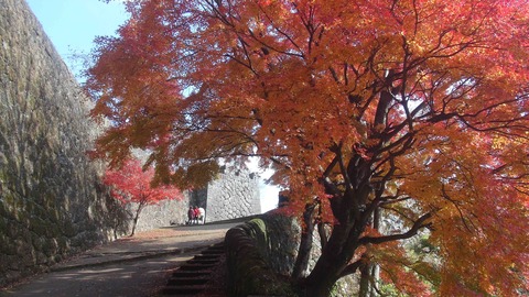 岡城址入口5