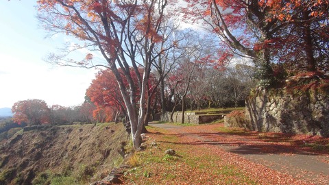 岡城址19