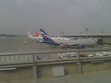 飛行機