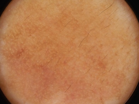 CIMG0597sh